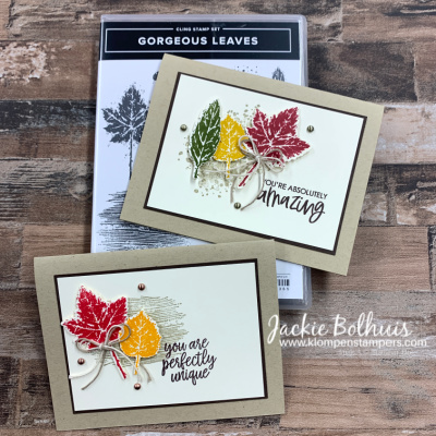 Gorgeous leaves  2 