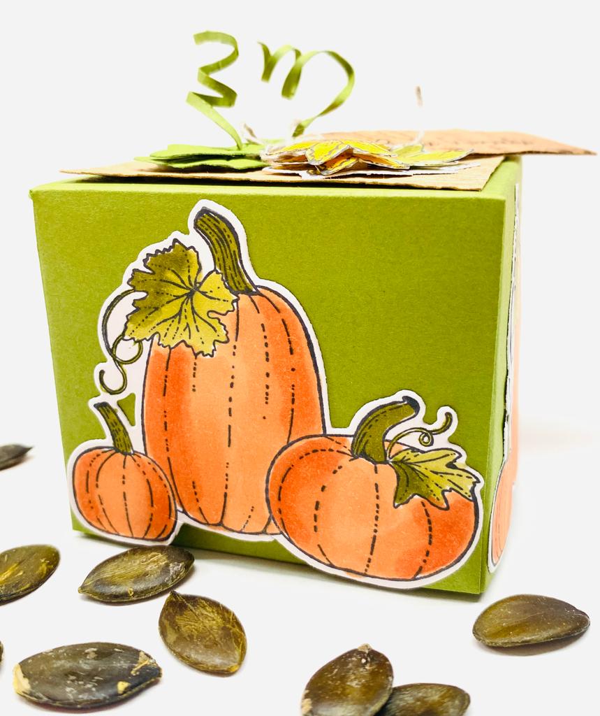 Basteltipp herbstliche box pretty pumpkins 3