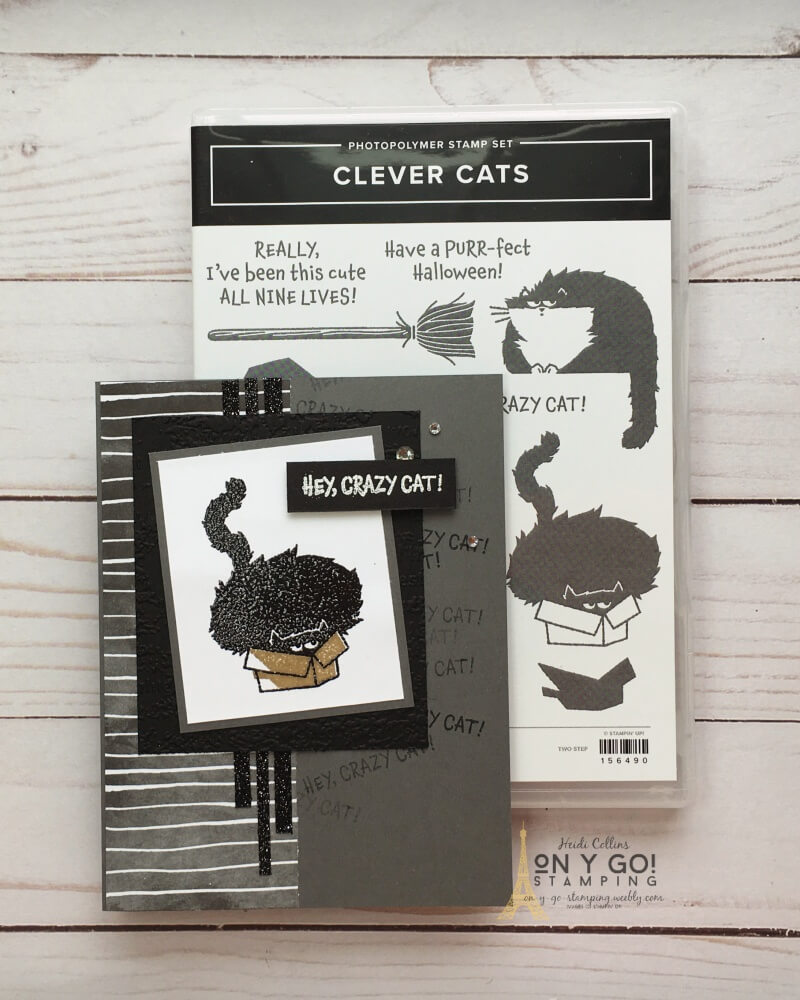 Clever cats avid with box