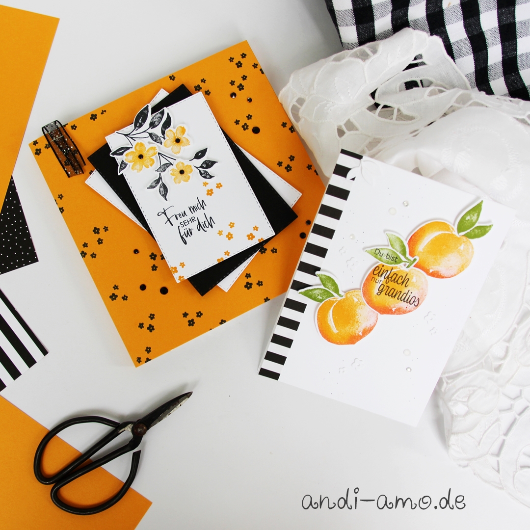 Stampin up s%c3%bcsse pfirsiche und konturiert und koloriert teamgeschenk 3b
