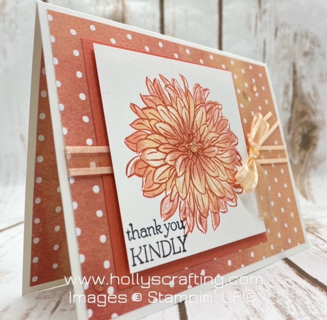 Delicate dahlias  2 