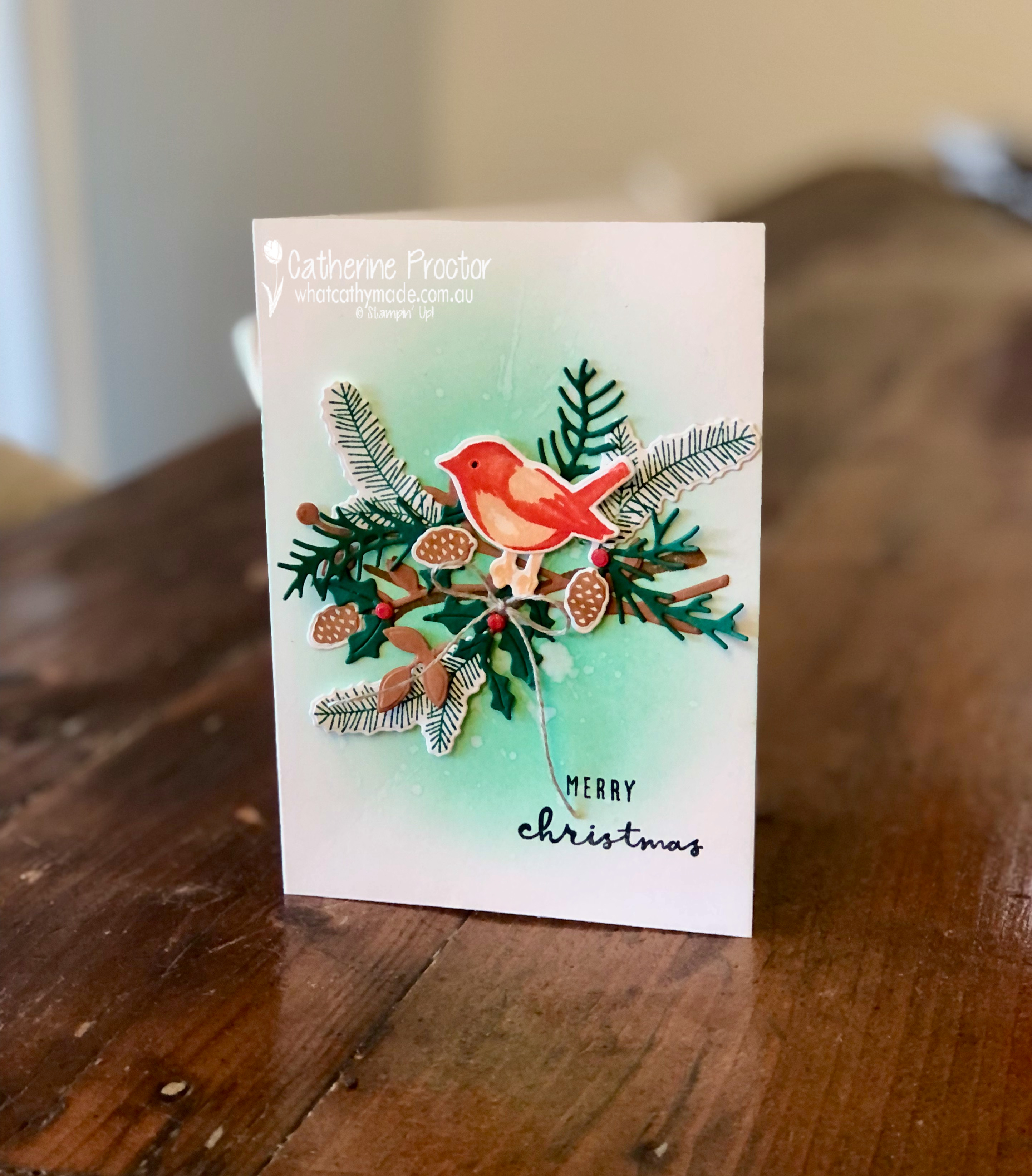 Stampin  up  retro birds   branches christmas card