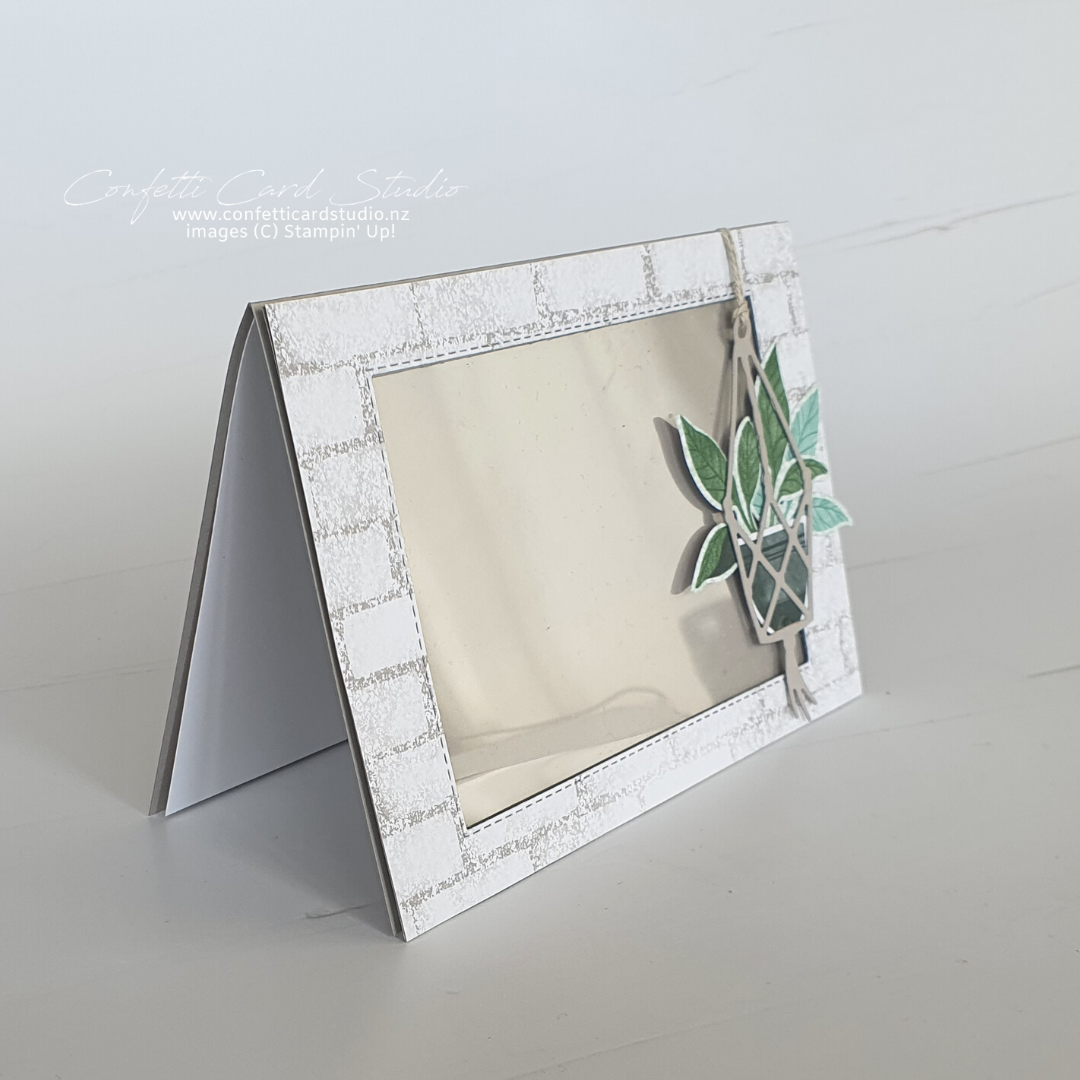 1080x1080 plentiful plants photo card no photo