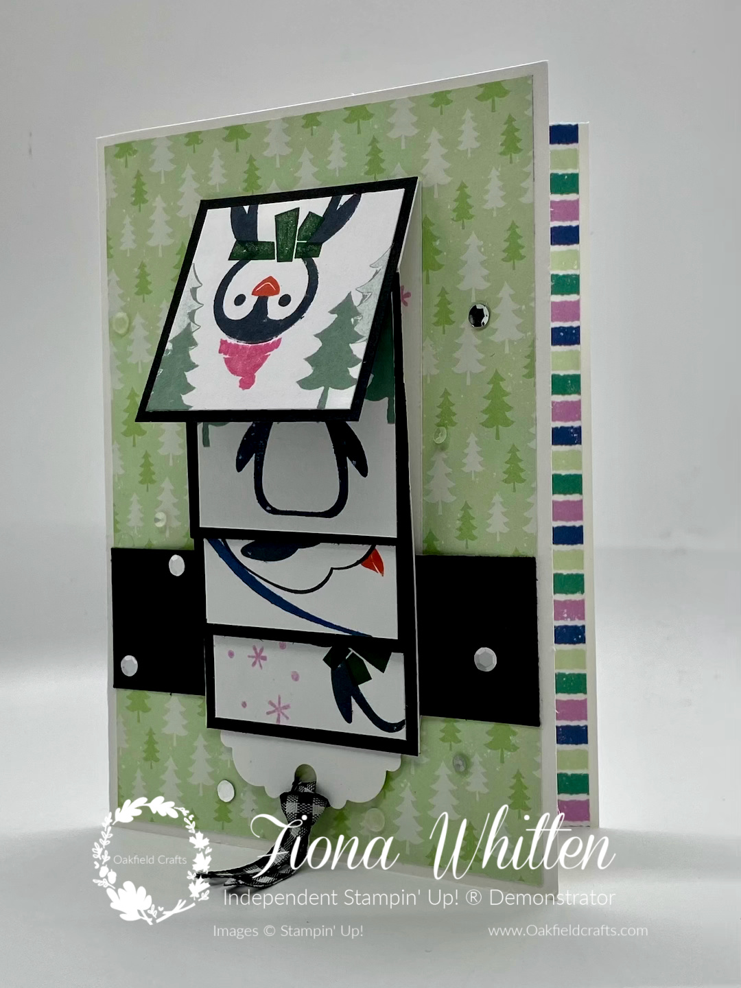 Penguin place waterfall card