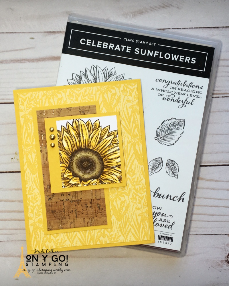 Ms square sunflower