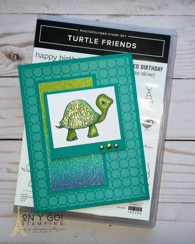 Ms square turtle
