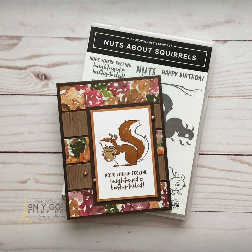 Ms sketch stripe squirrel square