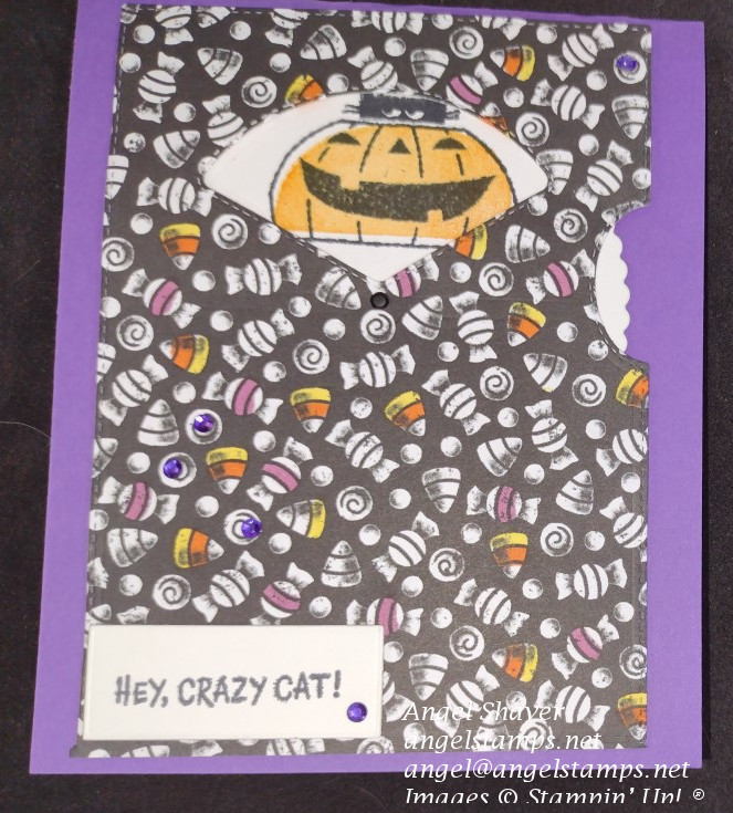 Cute cat rotating wheel pumpkin outside