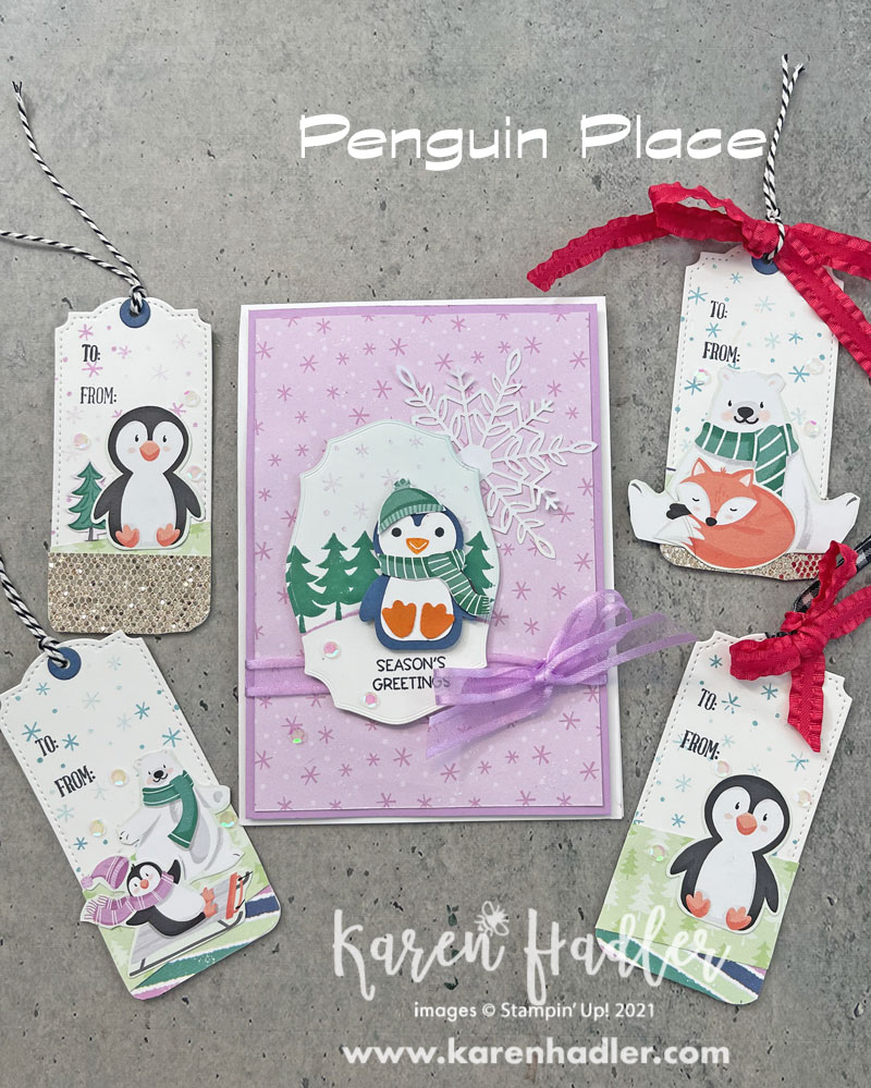 Penguin place and playmates