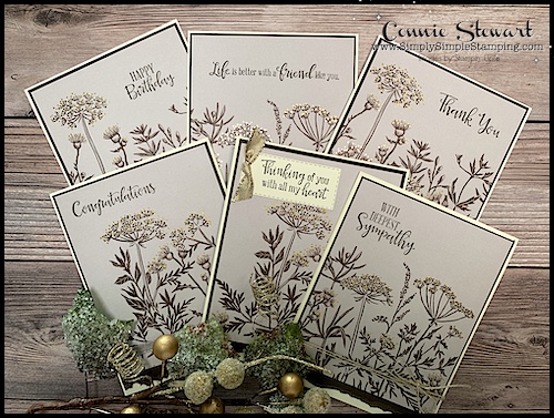 6 all occasion cards