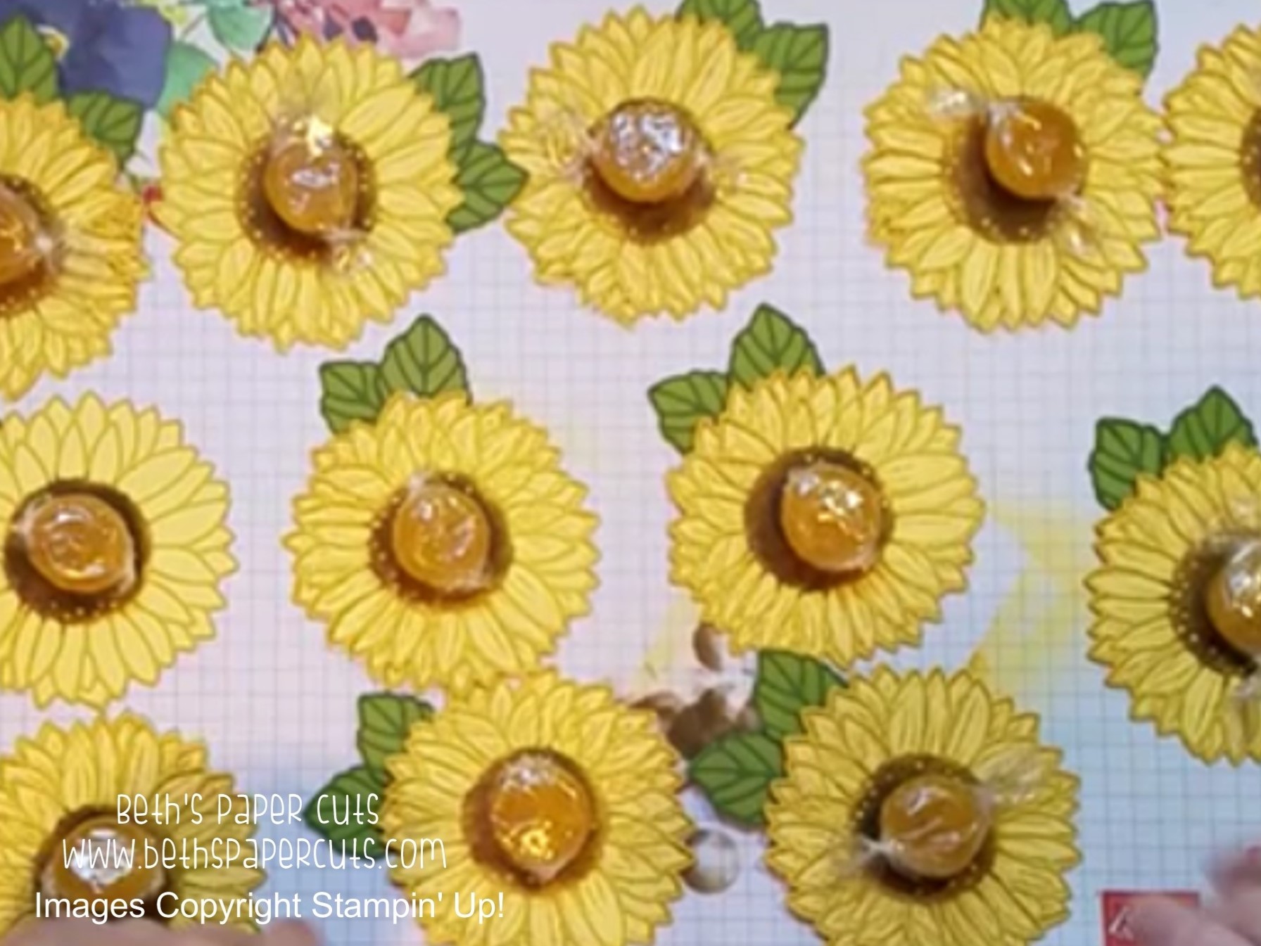 Sunflower treats