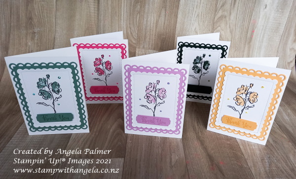 2021 2023 in color color   contour thank you cards all 5