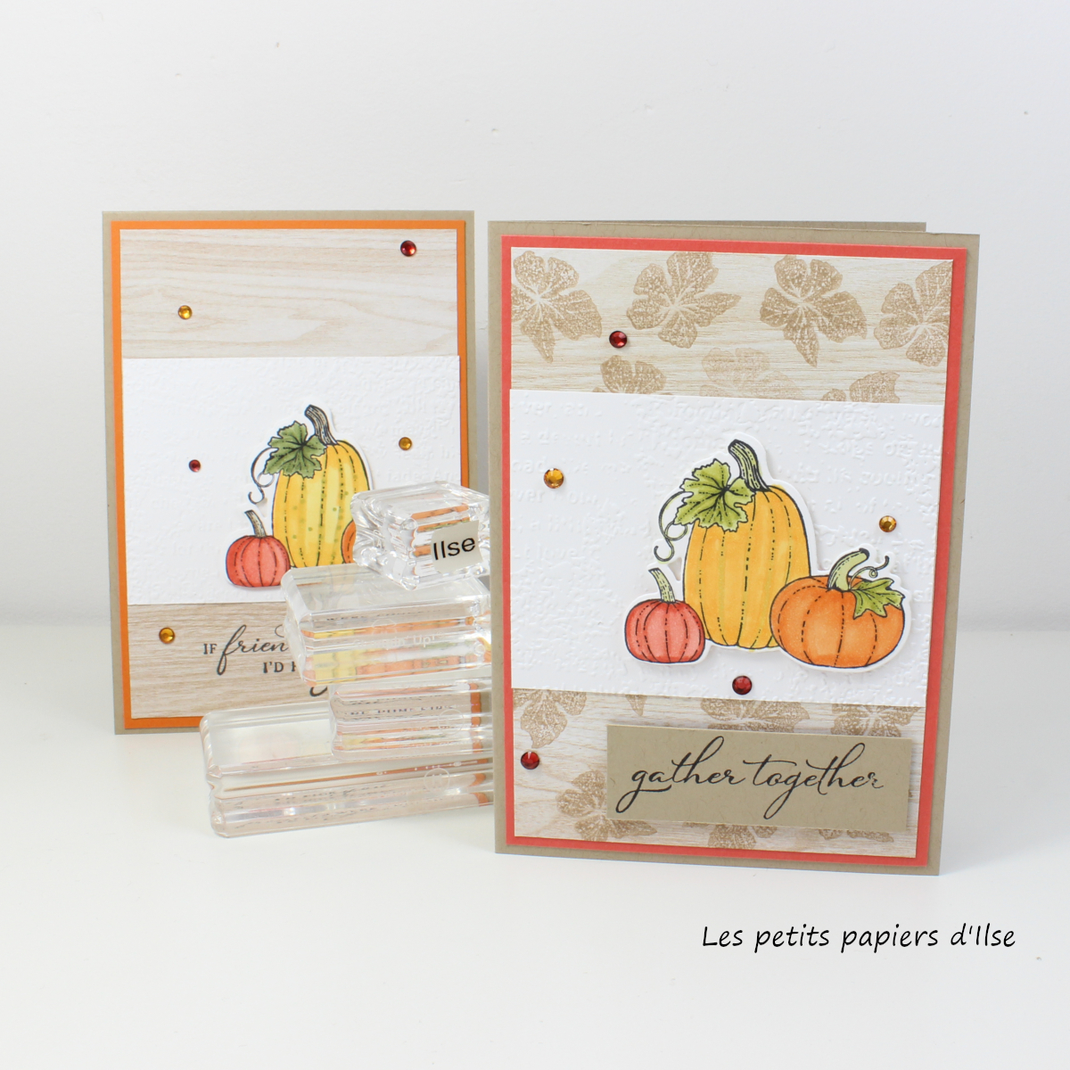 Carte citrouilles colorees