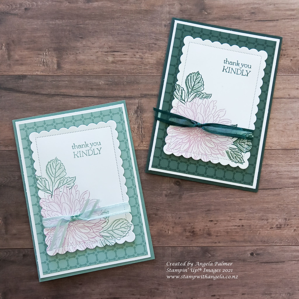 Delicate dahalias soft sucullent   evening evergreen