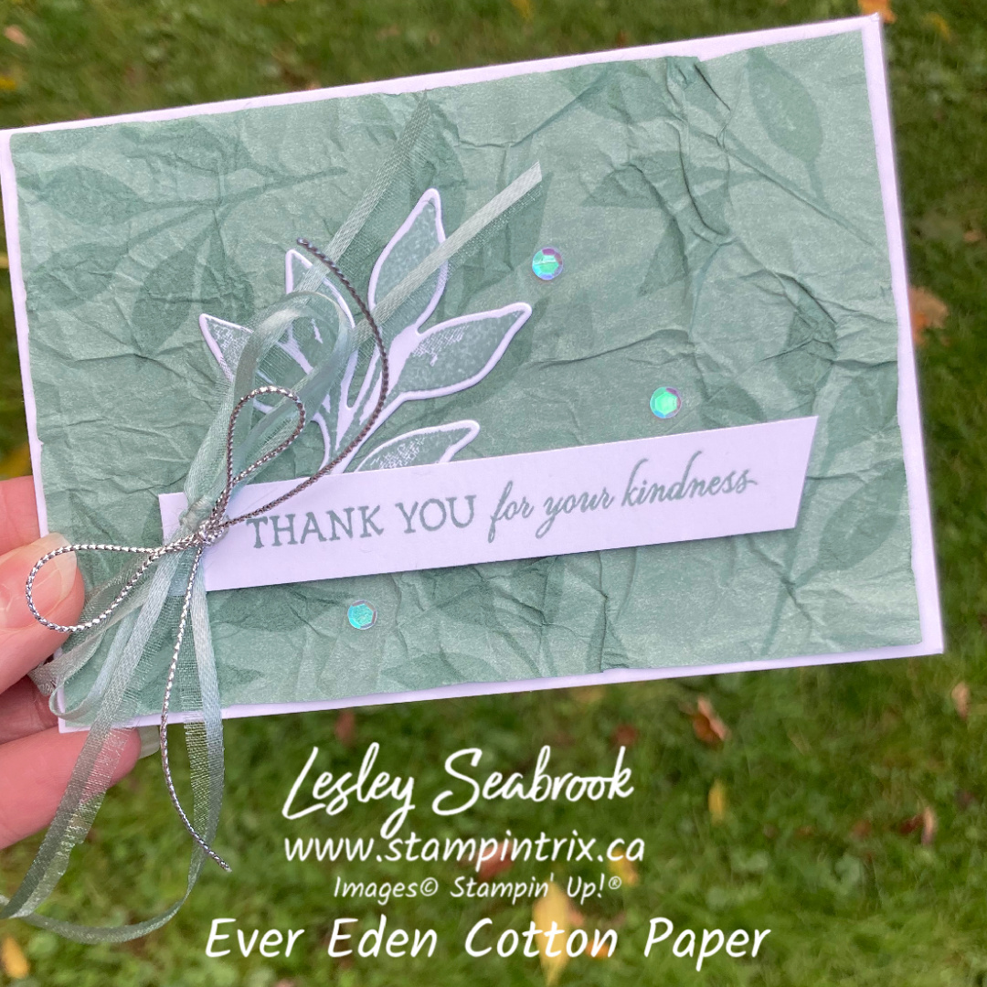 Ever eden cotton paper nov 2 