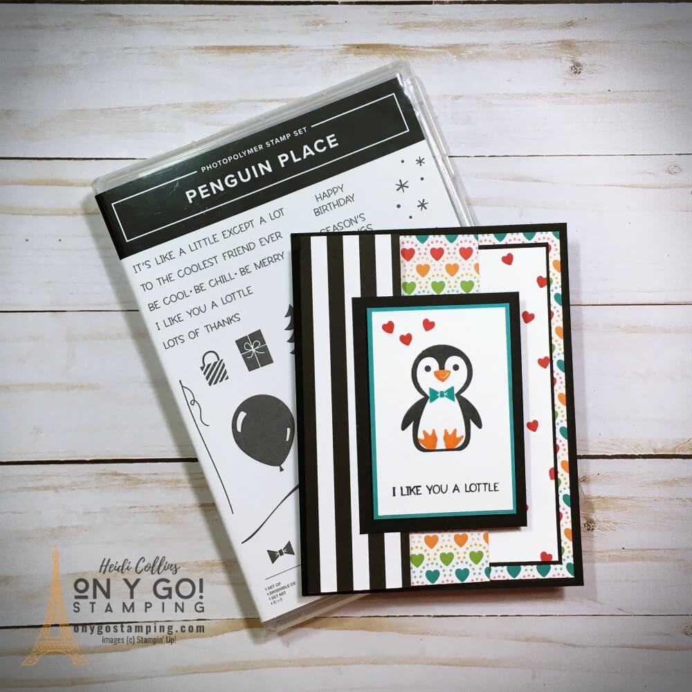 Ms long fold penguin with box