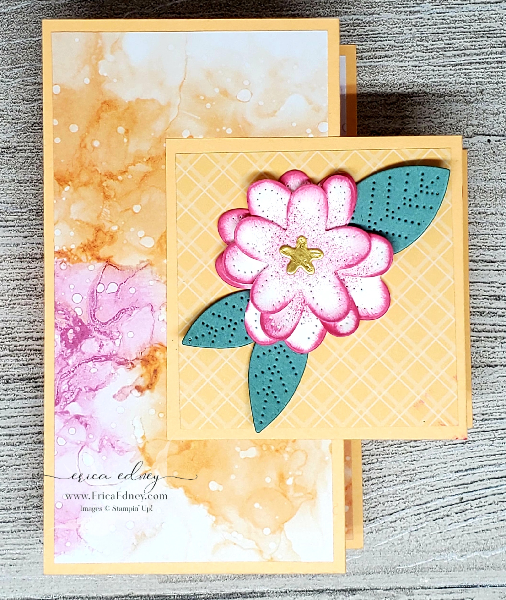 In bloom 8a