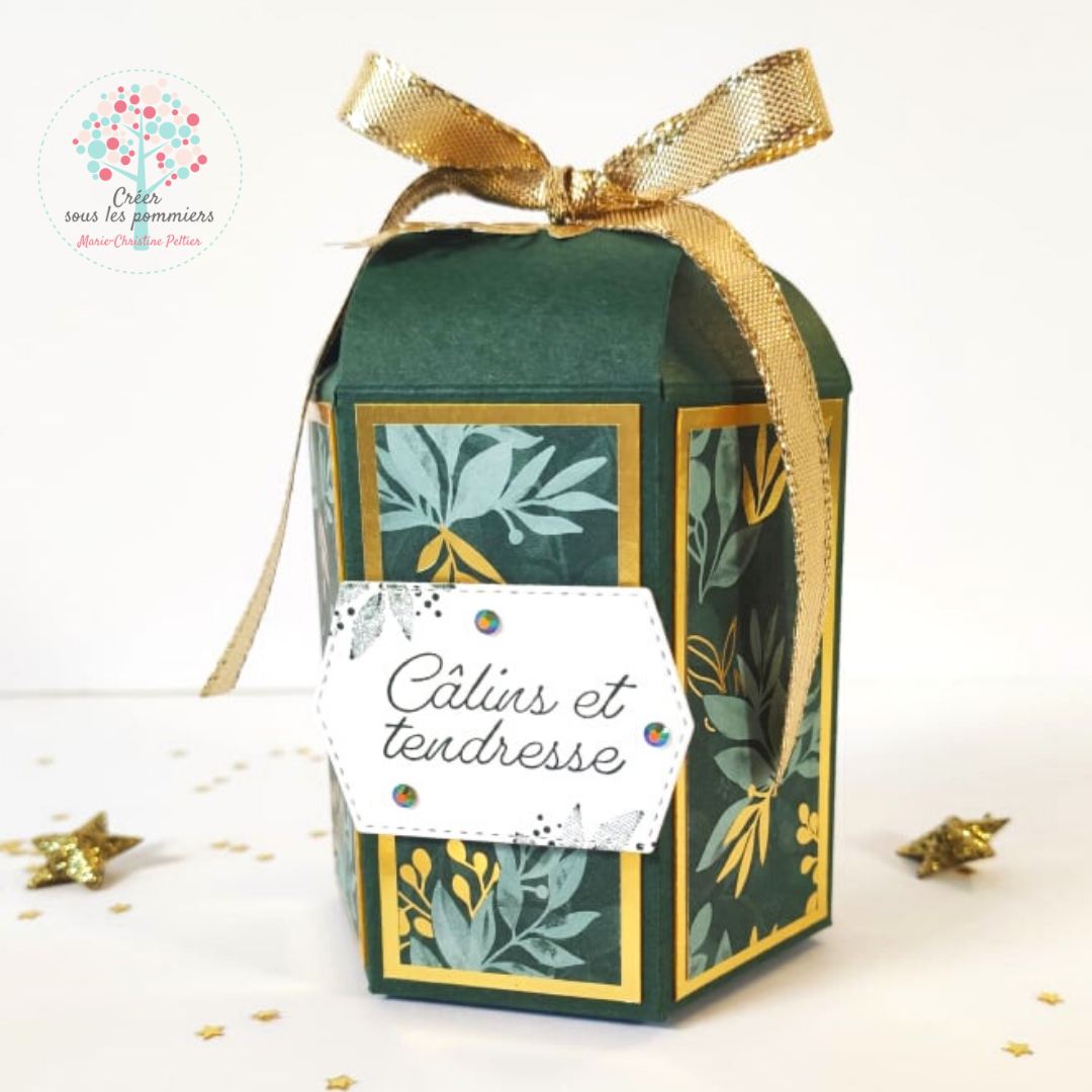 Boite hexagonale   jardin d eden