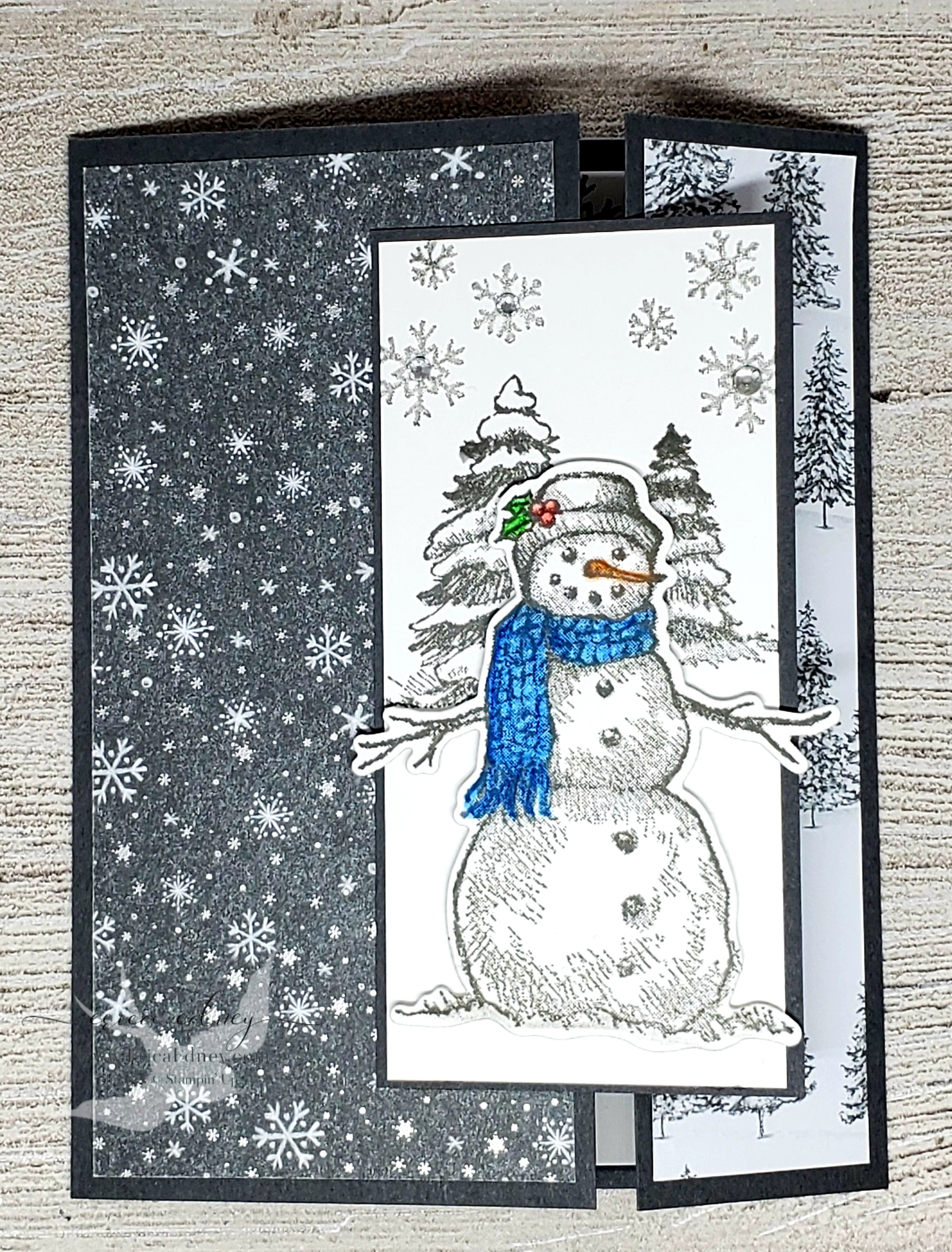 Snow wonder 3a