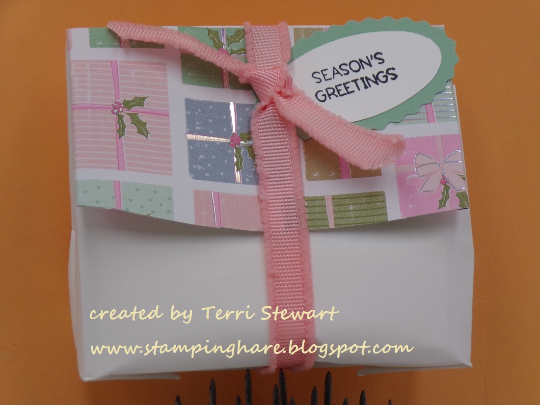 Bagalope whimsy wonder dsp vlog watermark