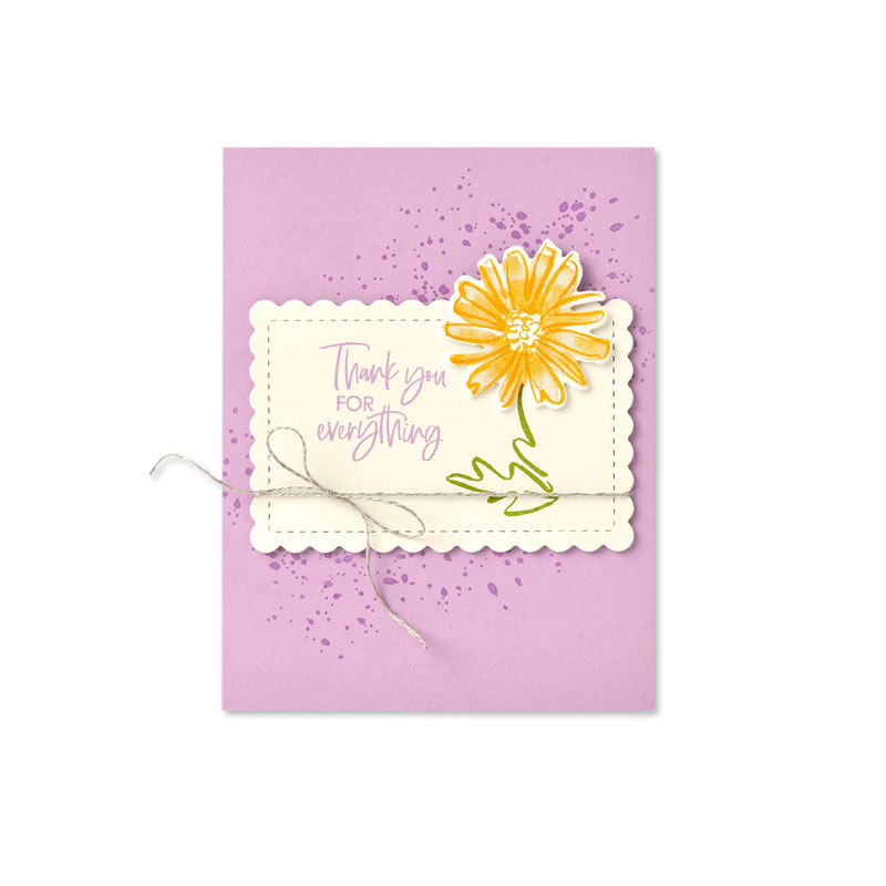 Color contour bundle individual sample 1