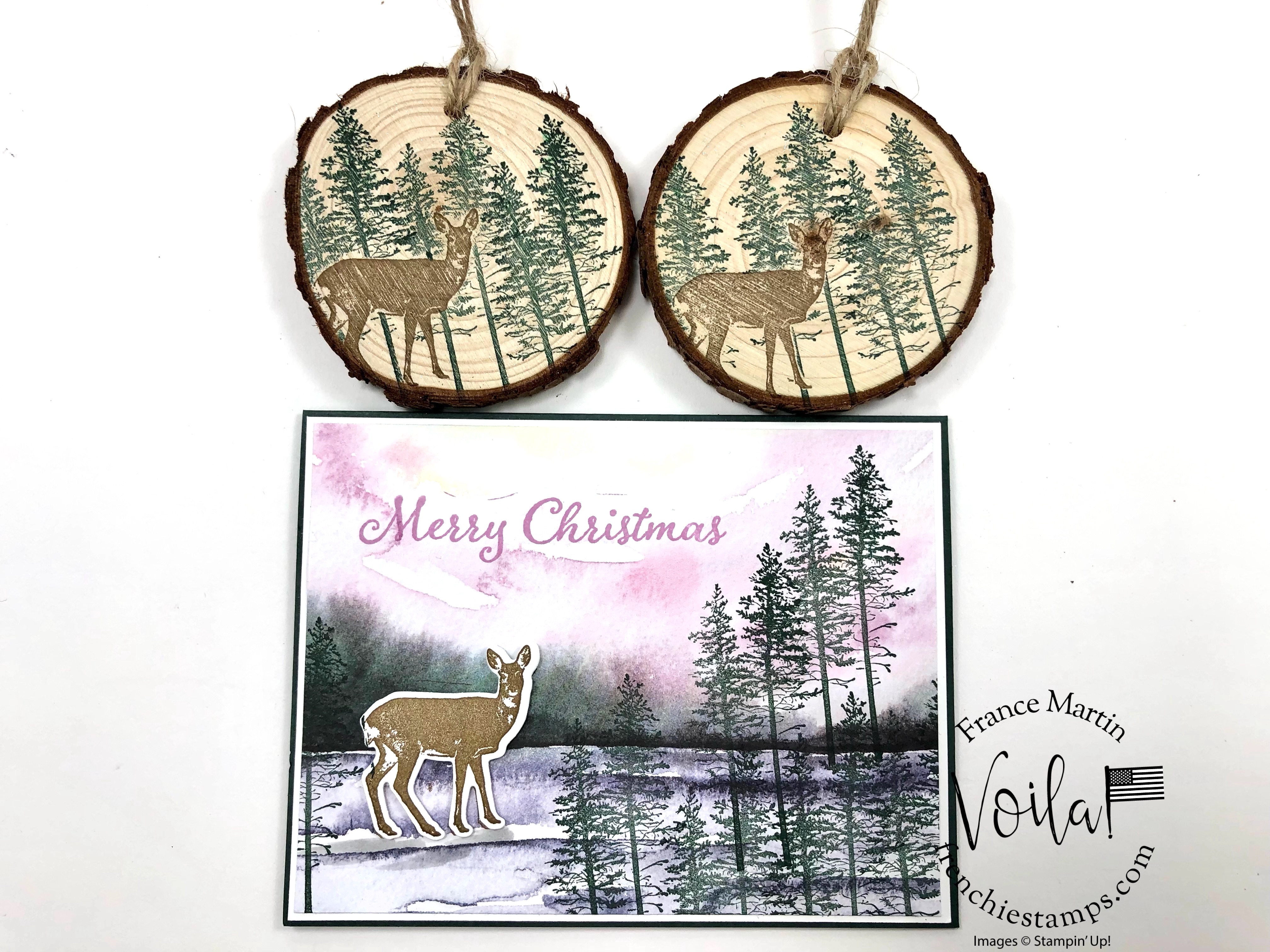Grassy grove for christmas 00001