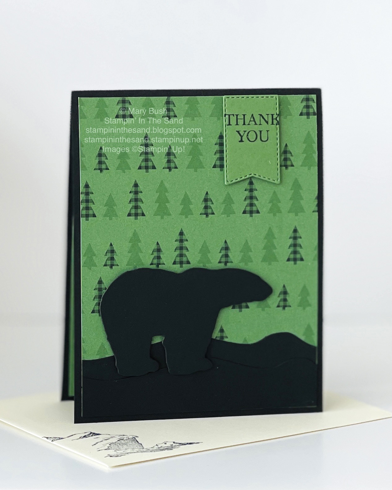 Arcticbearsblackbear
