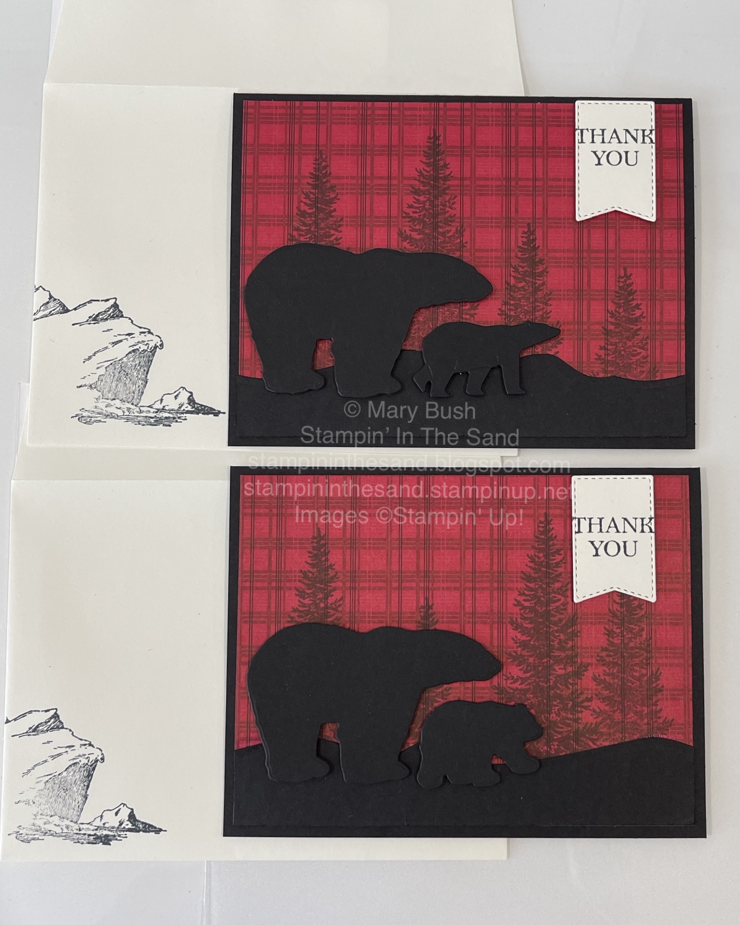 Arcticbearsblackbearmamawithcub