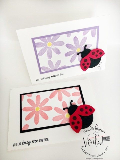 Hello ladybug00007