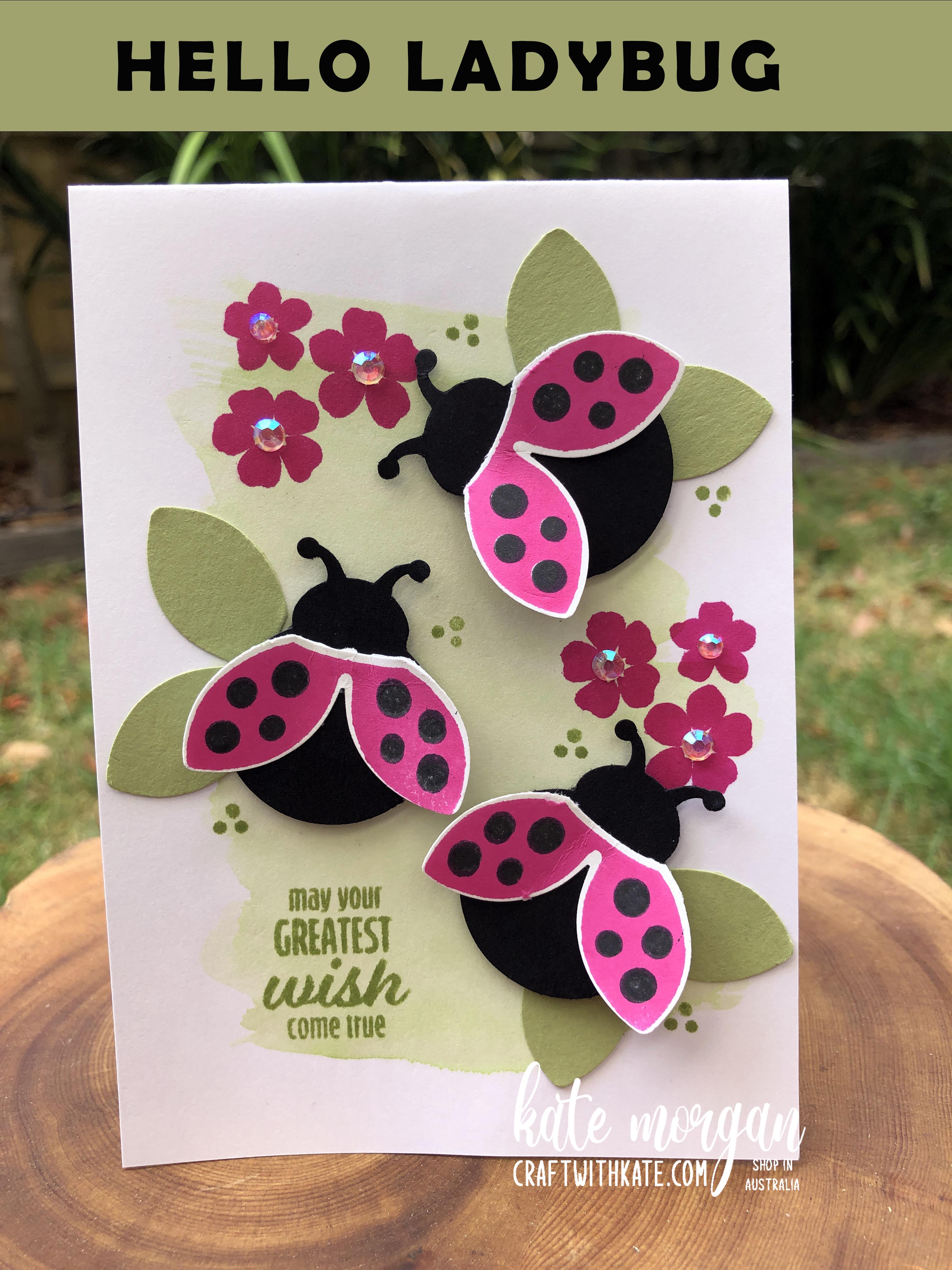 Hello ladybug pop up card by kate morgan  stampin up  australia 2022.