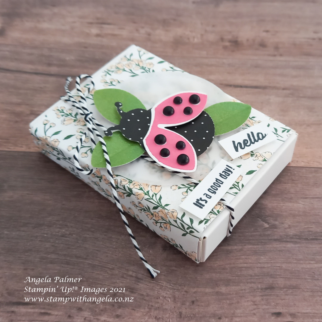 Hello ladybug box side