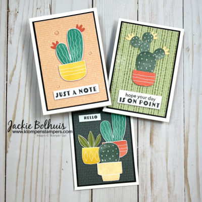 Cactus cuties  1 