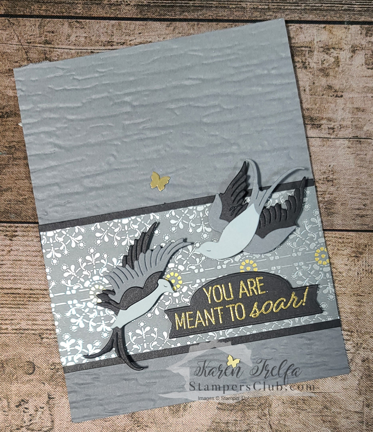 Soaring swallows in black   gray jan 2022