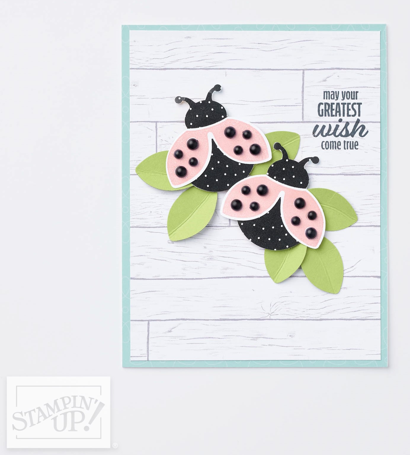 2022 jj bundle index hello ladybug