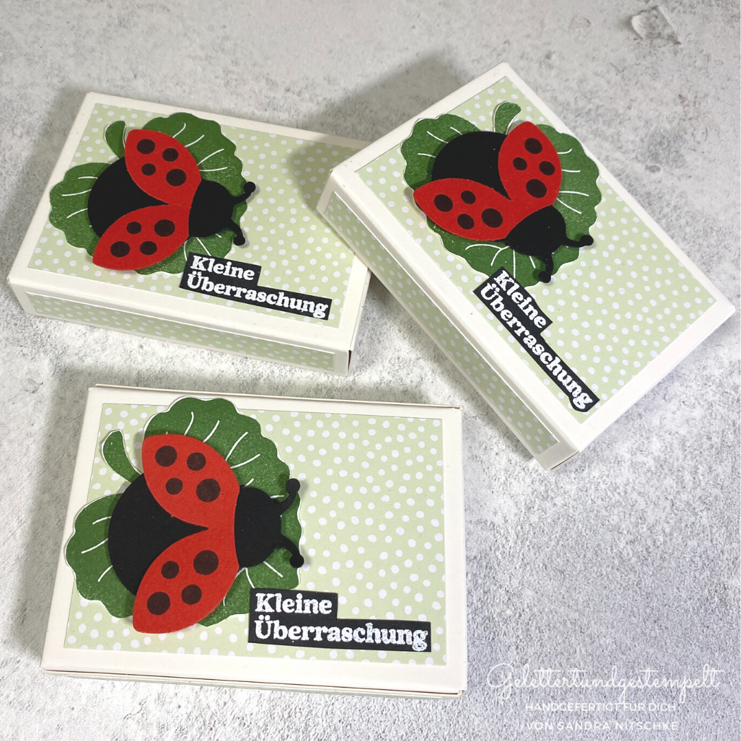 Produktpaket flotter k%c3%a4fer 3