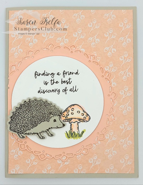 Happy hedgehogs   sab dsp