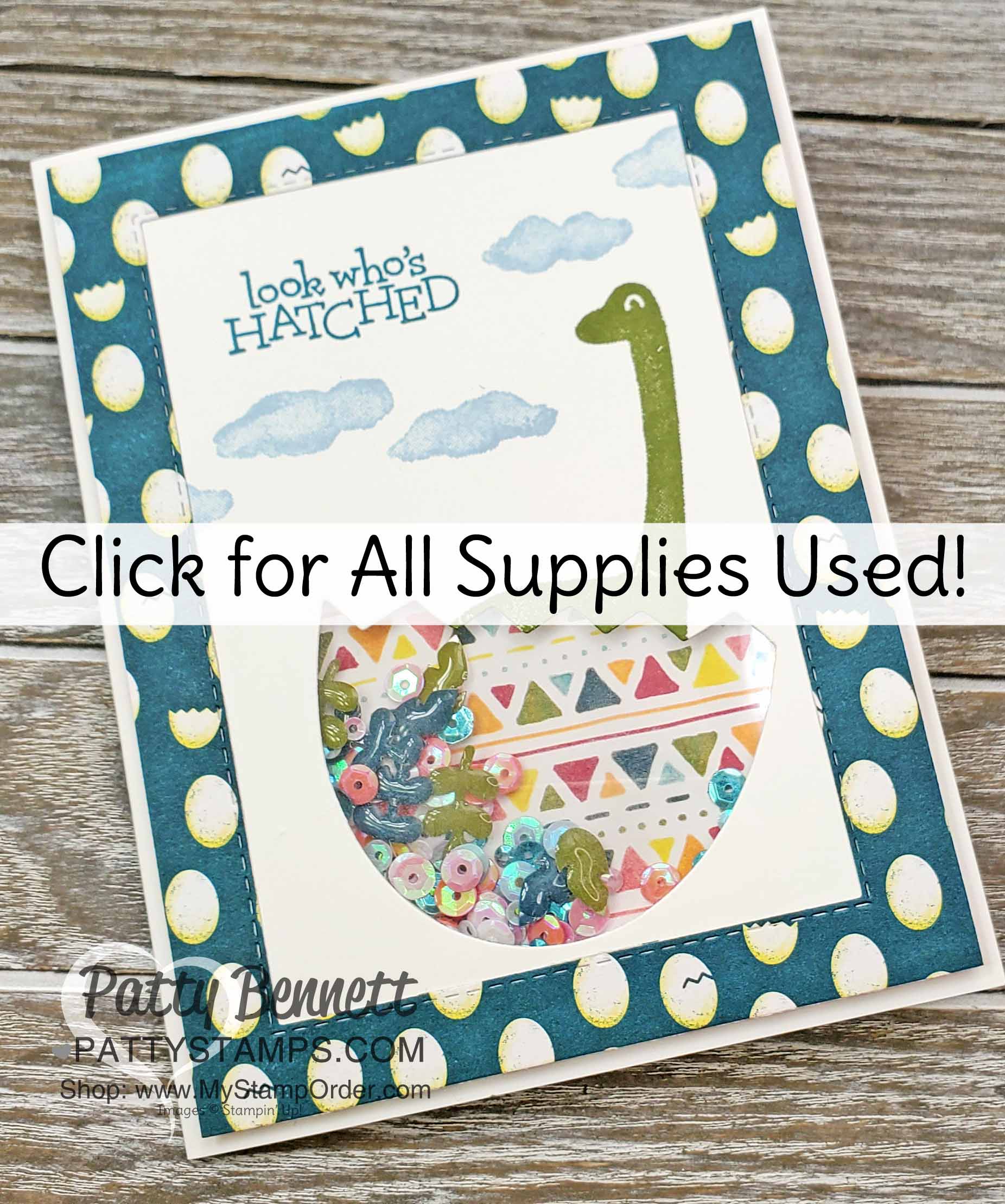 Dino days dinosaur shaker card idea sequins stampin up pattystamps click supplies