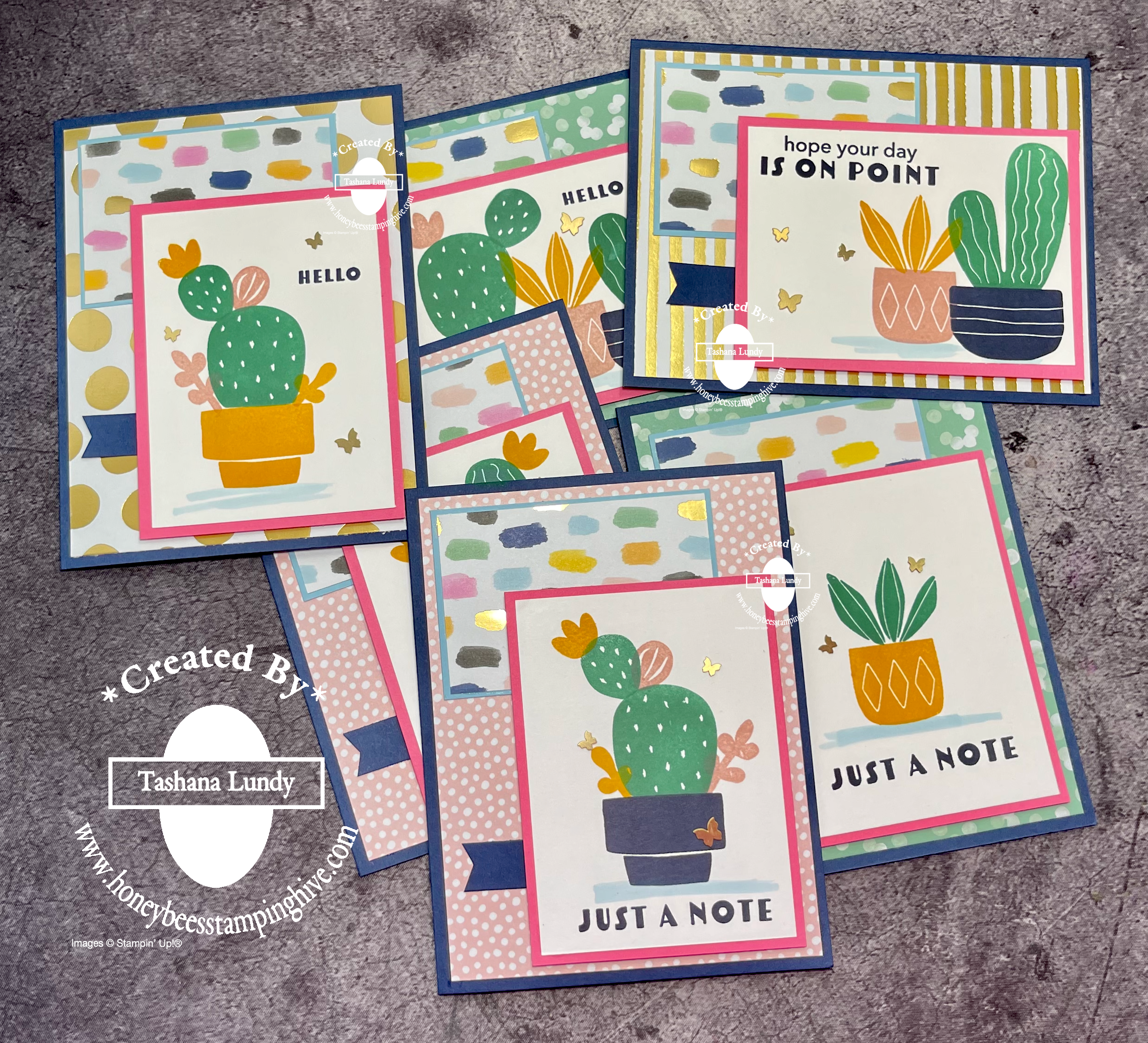 Video   cactus cuties   abstract beauty boxed set honeybee s stamping hive