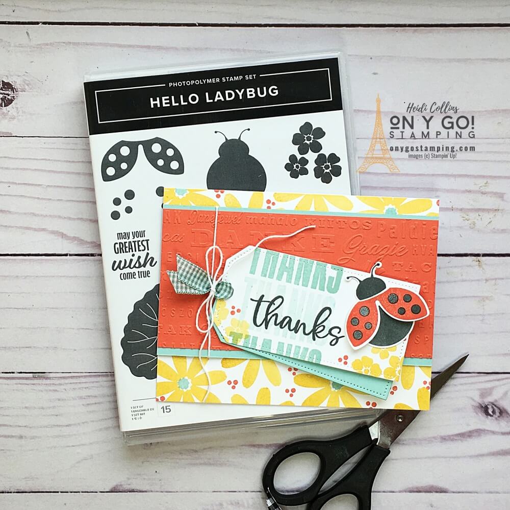 Hello ladybug thank you card compressed