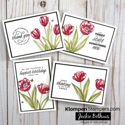 Flowering tulips  8 