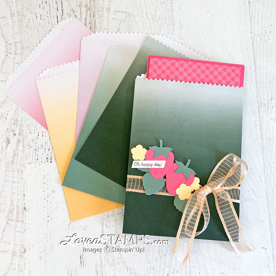 Strawberry builder punch ombre gift bags striped organdy ribbon last chance stampin up list treat package card envelope