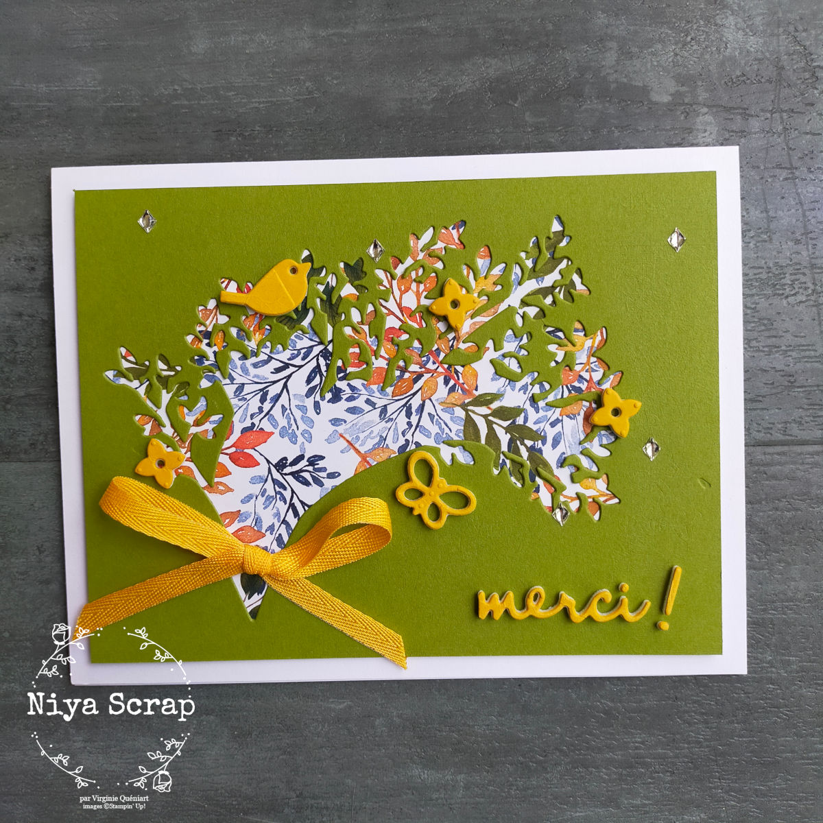 Niyascrapsu decoupenegatif 04