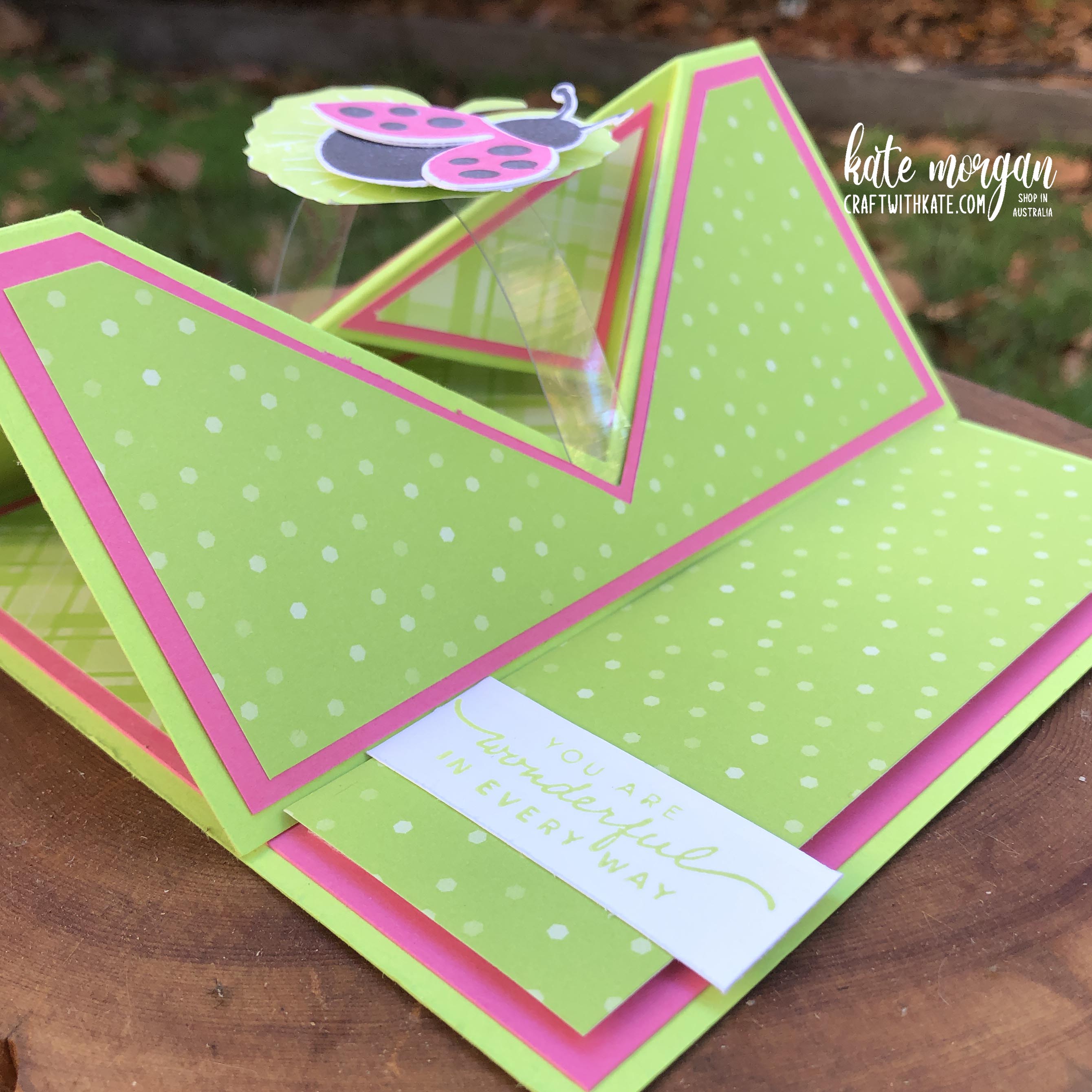 Faceted diamond vertical easel card for ccbh parakeet party using hello ladybug by kate morgan  stampin up australia 2022 side