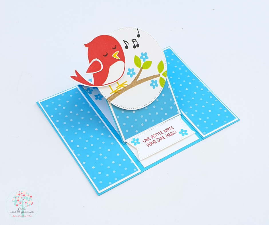 Carte oiseau in color