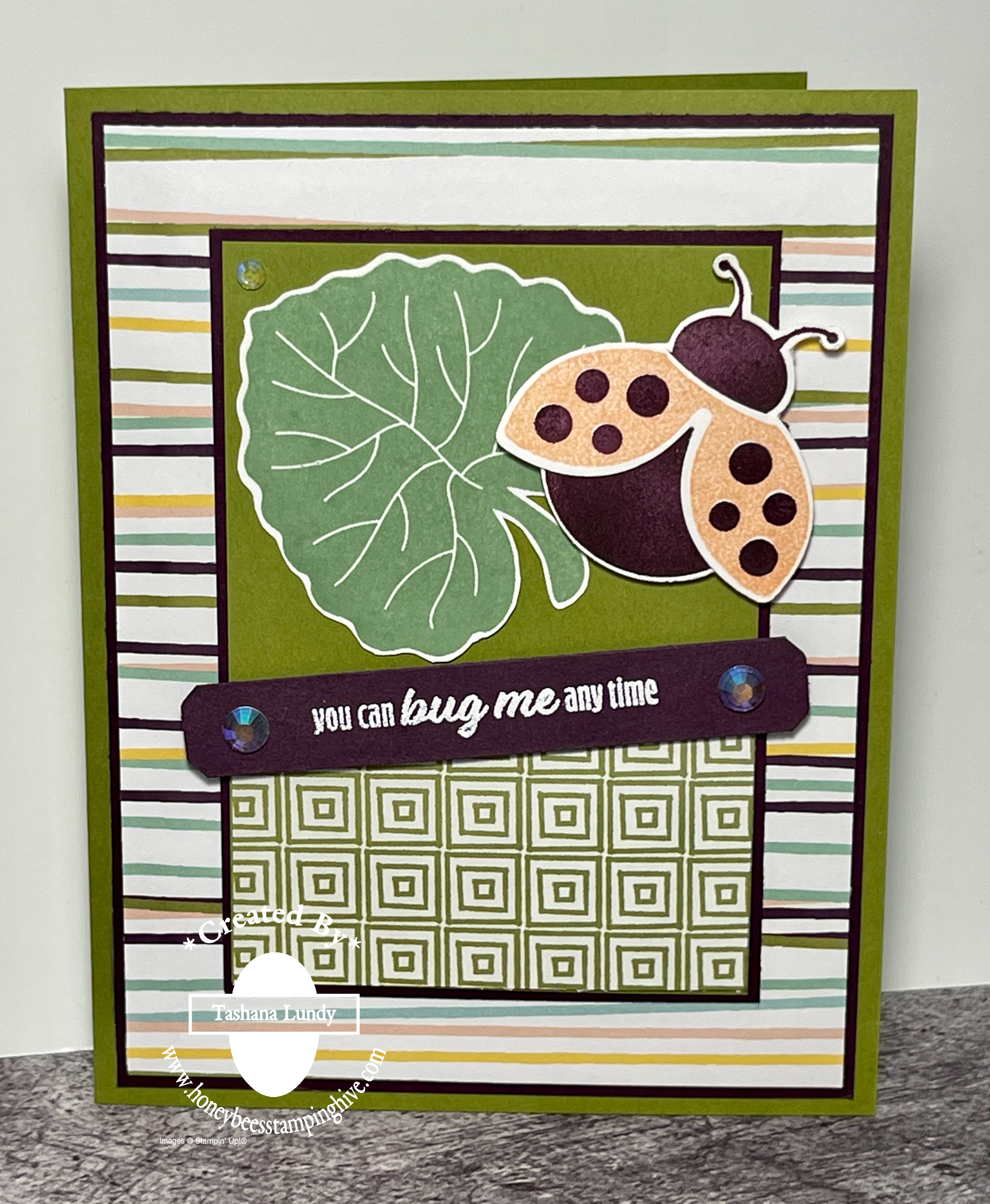 Video   hello ladybug design a daydream honeybee s stamping hive
