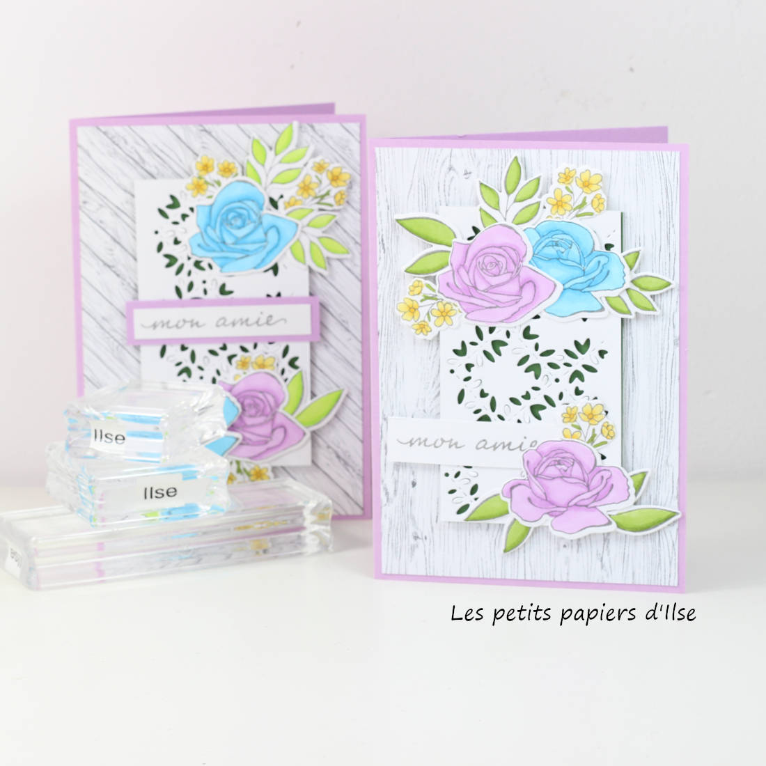 Carte roseraie d%c3%a9coupes vignette opt