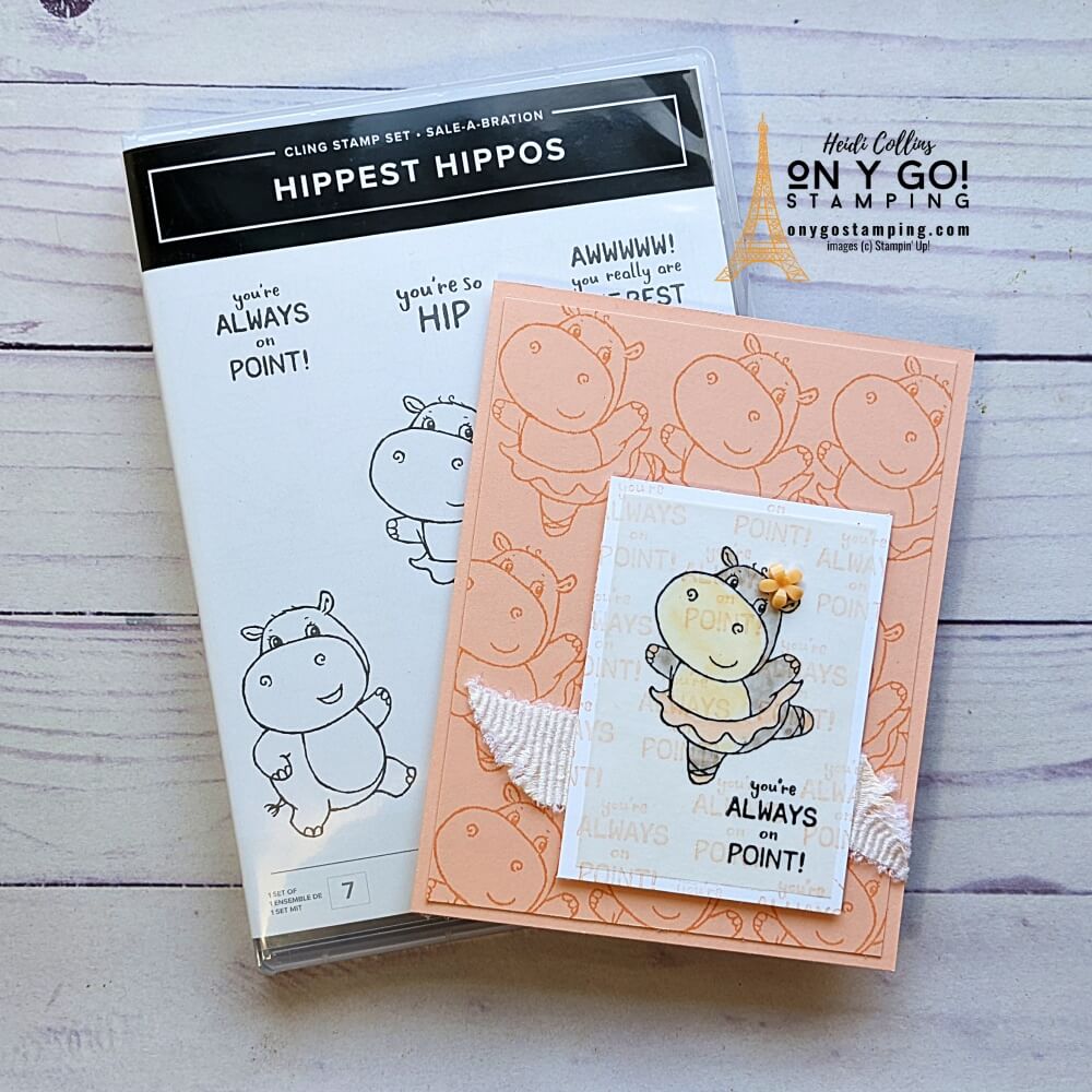Hippest hippo ballerina compressed
