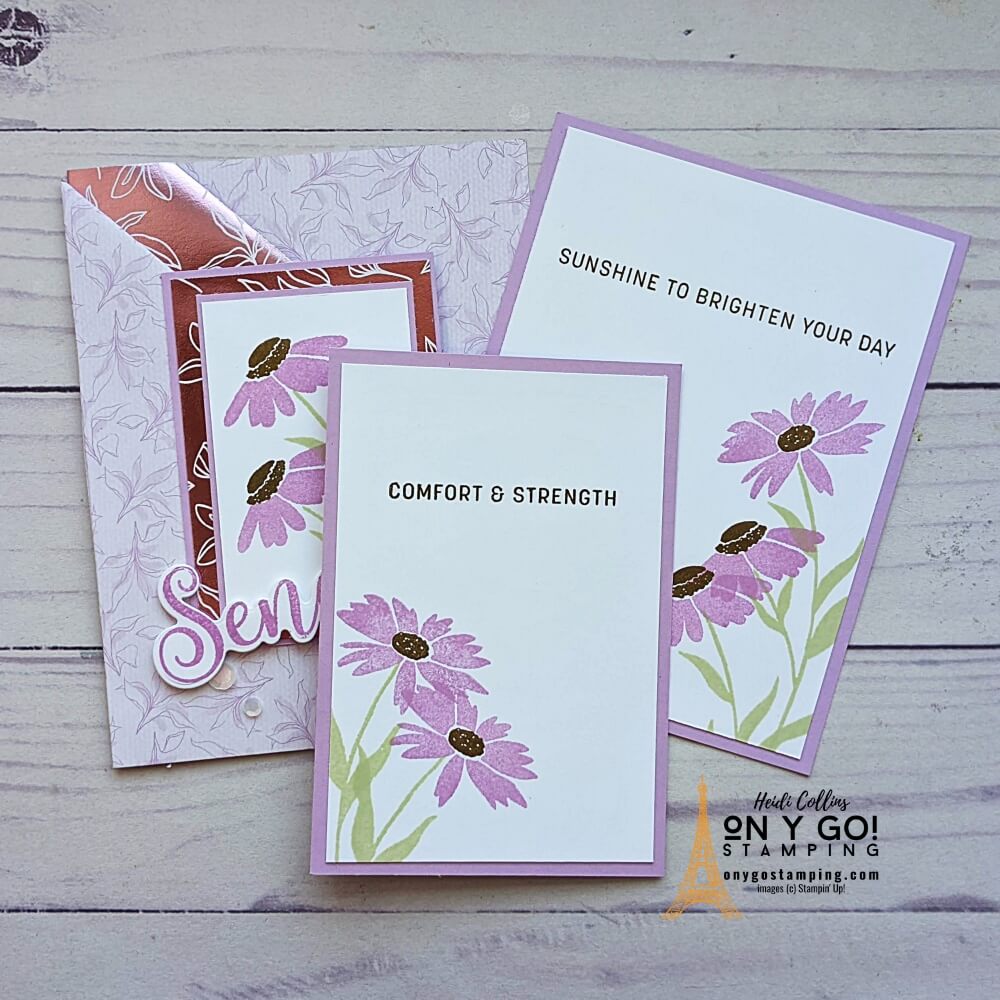Sending double pocket fun fold card open