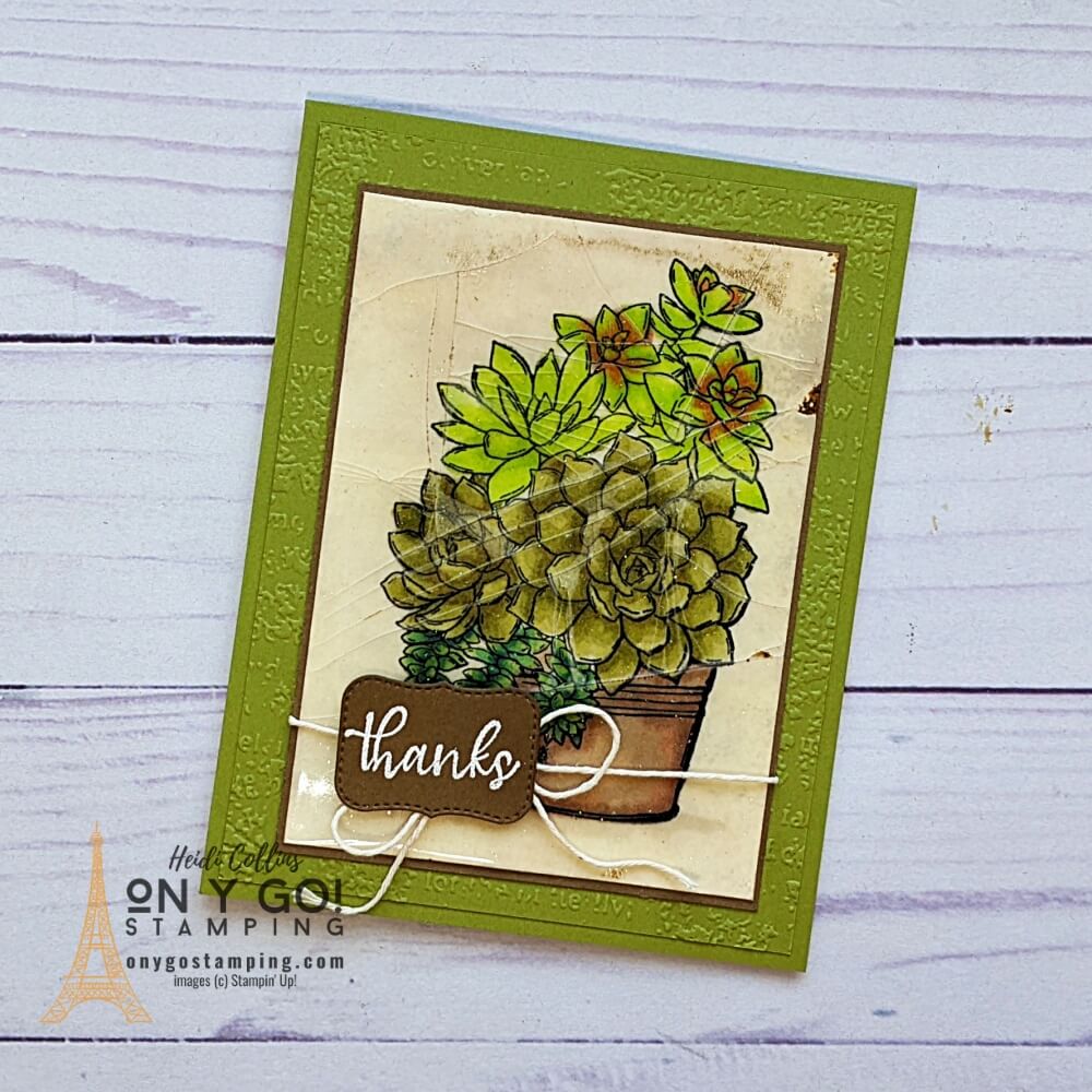 Cracked glass technique succulents