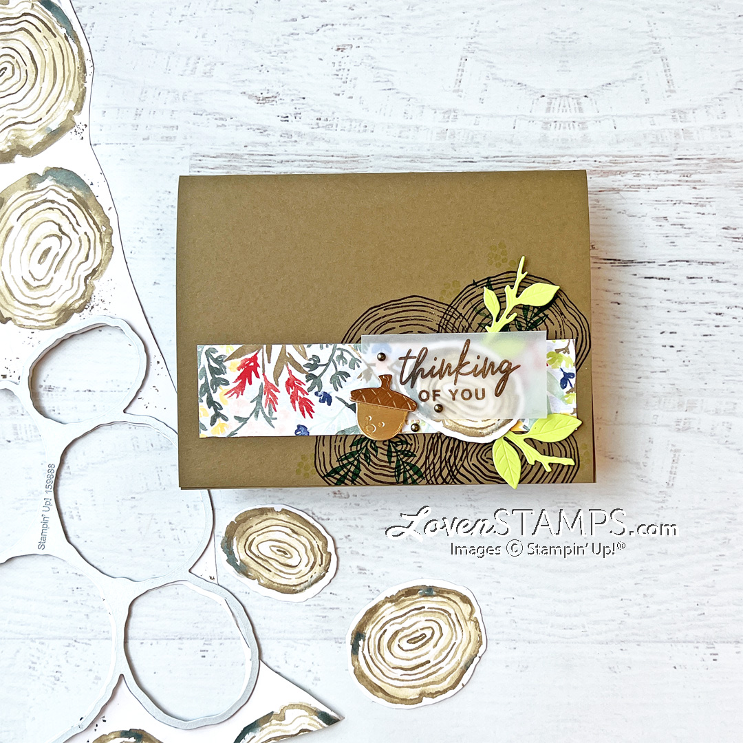 Ringed with nature bundle tree rings of love dsp sab stampin up jul dec mini